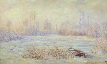 Haga click para ver la imagen ampliada hoarfrost near vetheuil.jpg